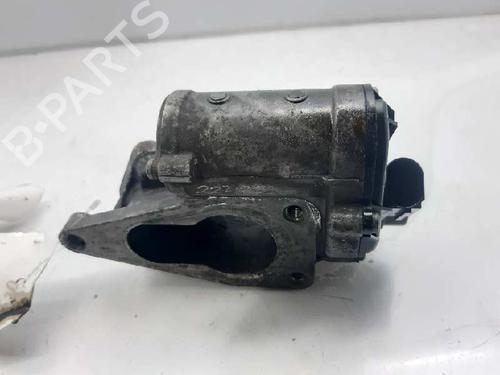 Egr RENAULT LAGUNA II (BG0/1_) 1.9 dCi (BG12) | BP6788393M69 