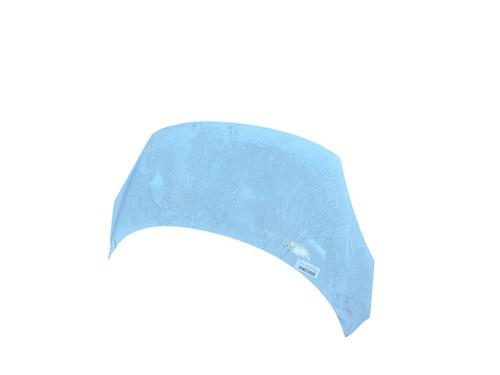 Hood RENAULT SCÉNIC III (JZ0/1_)  | BP25297344C1