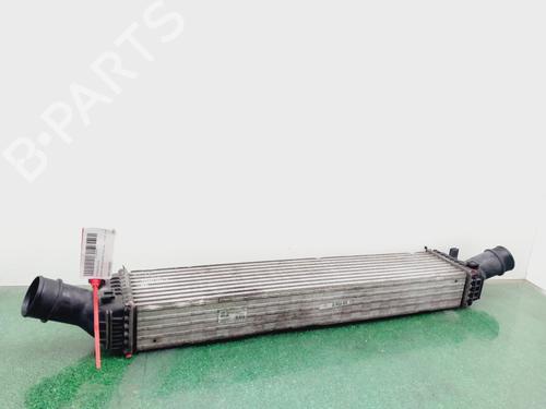 Intercooler SKODA FABIA I (6Y2)  | BP29620008M30 