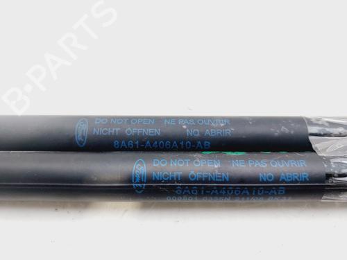 Tailgate lift support FORD FIESTA VI (CB1, CCN) 1.4 TDCi | BP22389581C138 