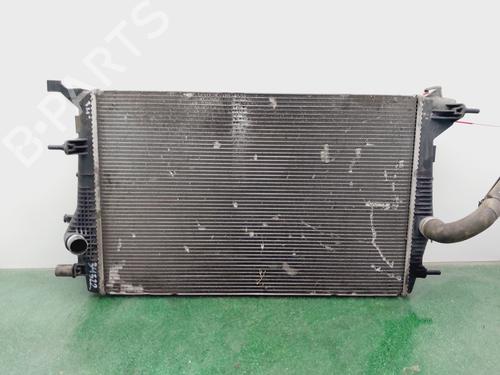 Used Water radiator RENAULT GRAND SCÉNIC III (JZ0/1_) [2009-2016]  29620837