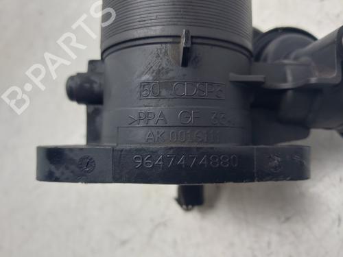 Throttle body FORD FOCUS C-MAX (DM2) 2.0 TDCi | BP30636622M82 