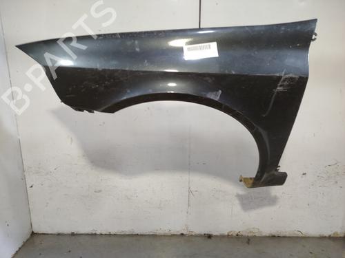 Used Left front fenders Left front fenders RENAULT LAGUNA II (BG0/1_) 1.9 dCi (BG12) (116 hp) 34206826 34206826