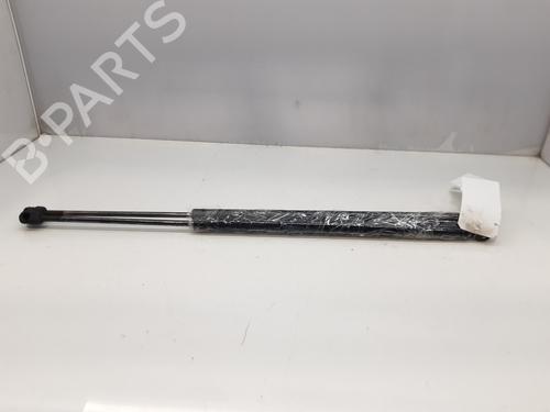 Tailgate lift support FORD FIESTA V (JH_, JD_) 1.4 TDCi | BP14005383C138 