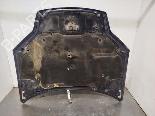 Hood RENAULT LAGUNA III (BT0/1) 2.0 dCi (BT07, BT0J, BT14, BT1A, BT1S) | BP31611216C1