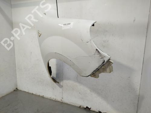 Right front fenders RENAULT KANGOO / GRAND KANGOO II (KW0/1_) 1.5 dCi 70 (KW0V, KW0A) | BP29704675C42 