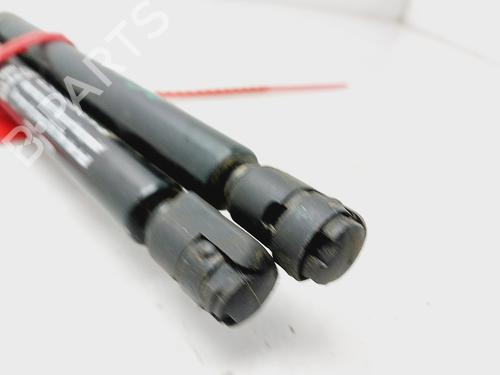 Tailgate lift support LAND ROVER FREELANDER 2 (L359) 2.2 TD4 4x4 | BP20238324C138 