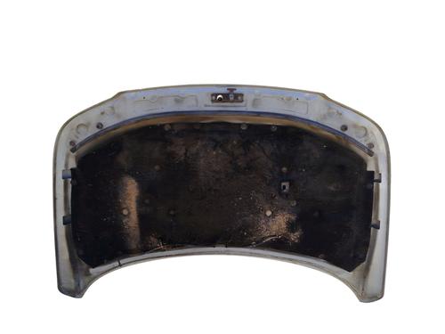 Hood LAND ROVER FREELANDER I (L314) 2.0 Td4 4x4 | BP25895775C1 