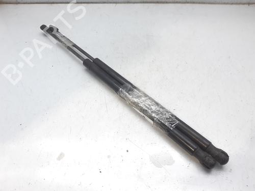 Gassdemper Bakluke RENAULT GRAND SCÉNIC II (JM0/1_) 1.9 dCi (116 hp) 14003343
