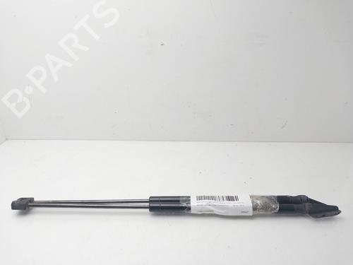 Used Tailgate lift support NISSAN X-TRAIL I (T30) [2001-2013]  30859902