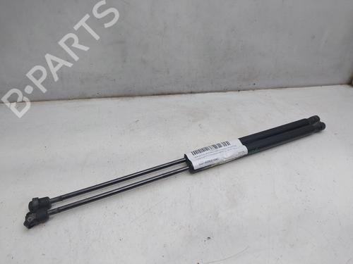 Tailgate lift support FORD FIESTA VI (CB1, CCN) 1.25 | BP16344717C138 