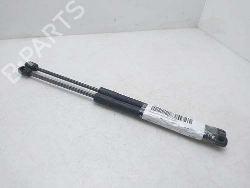 Used Hood lift support Hood lift support CHEVROLET CAPTIVA (C100, C140) 2.0 D (150 hp) 36774885 36774885
