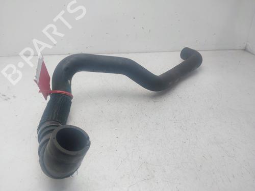 Pipe DACIA SANDERO III | BP29572596M125