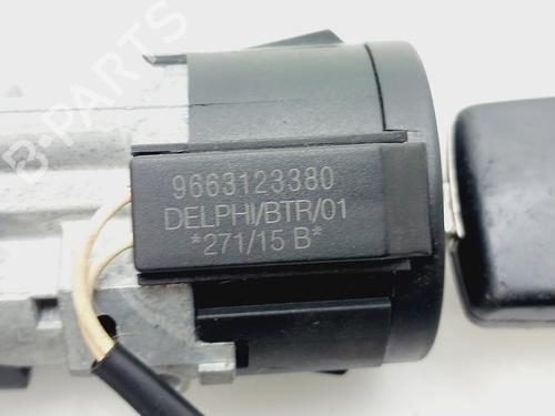 Ignition barrel CITROËN C3 II (SC_) | BP30717878M48
