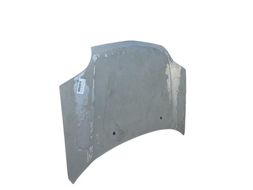 Hood NISSAN X-TRAIL I (T30)  | BP25902616C1 