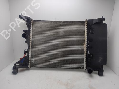 Water radiator OPEL MERIVA B MPV (S10)  | BP29719366M31 