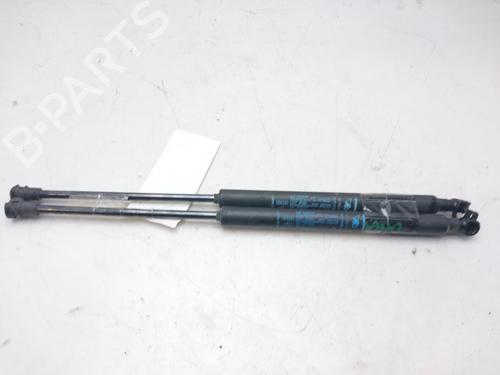 Tailgate lift support ALFA ROMEO GT (937_) 1.9 JTD (937CXN1B) | BP14006571C138 
