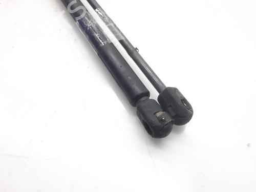 Tailgate lift support CITROËN XSARA Coupe (N0) 1.6 16V | BP13999030C138 