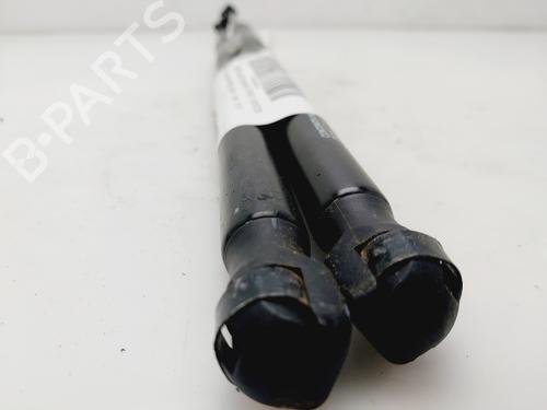 Tailgate lift support HYUNDAI MATRIX (FC)  | BP24496887C138 