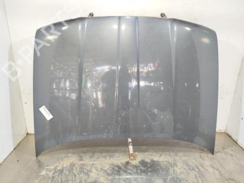 Used Hood Hood SKODA OCTAVIA I (1U2) 1.9 TDI (100 hp) 33793164 33793164