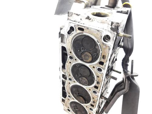 Cylinder head RENAULT LAGUNA II (BG0/1_)  | BP24905596M5 