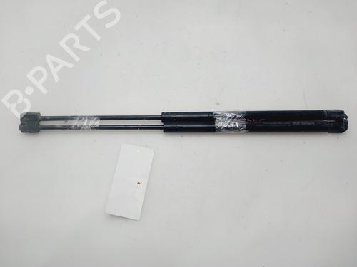 Used Tailgate lift support RENAULT GRAND SCÉNIC II (JM0/1_) 1.5 dCi (103 hp) 32516054