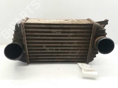 Intercooler FIAT STILO Multi Wagon (192_) 1.9 JTD (115 hp) 2871657