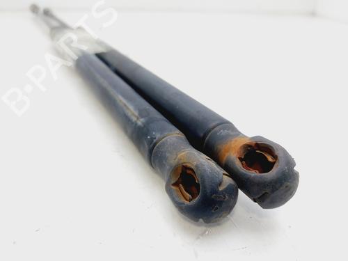 Tailgate lift support SEAT IBIZA III (6L1)  | BP20236612C138 