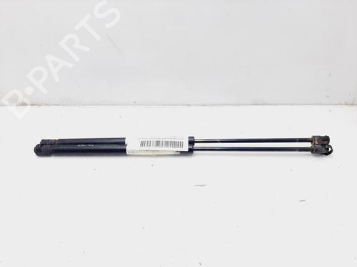 Used Tailgate lift support OPEL ZAFIRA / ZAFIRA FAMILY B (A05) 1.6 (M75) (105 hp) 21781235