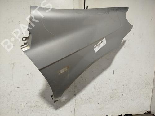 Right front fenders HYUNDAI GETZ (TB) 1.5 CRDi | BP29944645C42