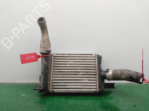 Intercooler DACIA SANDERO II [2012-2026]  31670294