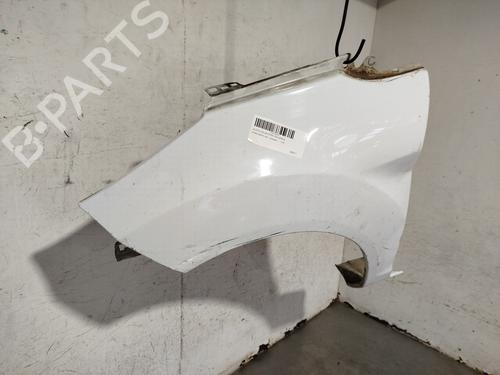 Left front fenders FORD FIESTA VI (CB1, CCN) 1.4 TDCi | BP29982201C41