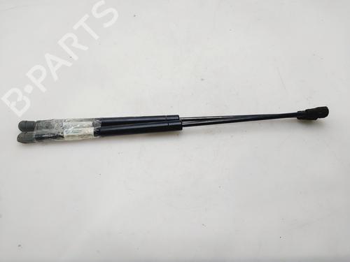 Used Tailgate lift support Tailgate lift support PEUGEOT 207 (WA_, WC_) [2006-2015] 32436789 32436789