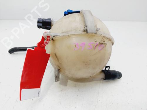 Expansion tank SKODA FABIA I (6Y2)  | BP29582316C120 