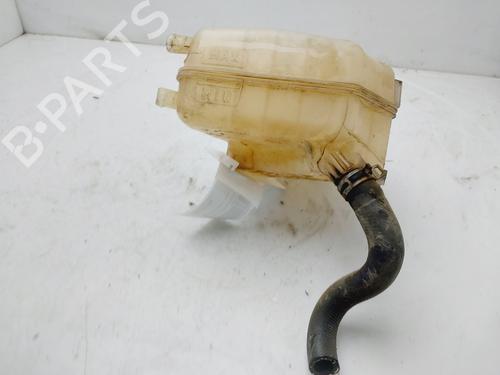 Used Expansion tank FORD FIESTA VI (CB1, CCN) 1.5 TDCi (95 hp) 20085974