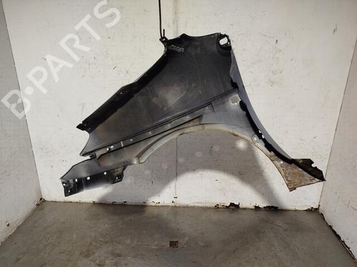 Right front fenders RENAULT SCÉNIC I MPV (JA0/1_, FA0_) 1.9 dCi RX4 | BP29982065C42