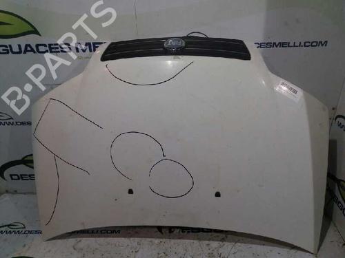 Used Hood FIAT PUNTO (188_) 1.3 JTD 16V (70 hp) 11508243