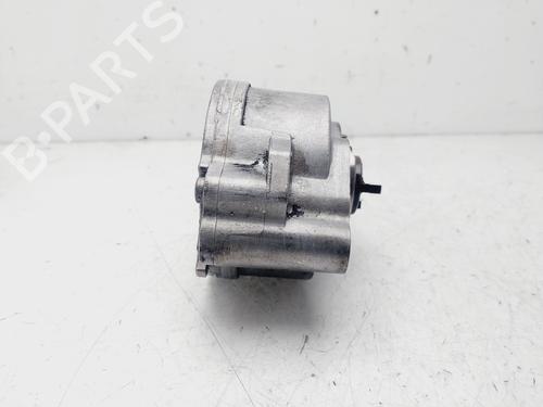 Vacuum pump PEUGEOT PARTNER Box Body/MPV 1.6 HDi 16V 4x4 | BP29298385M80 