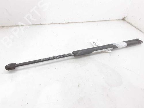 Tailgate lift support FORD FIESTA V (JH_, JD_) 1.3 | BP13996675C138 