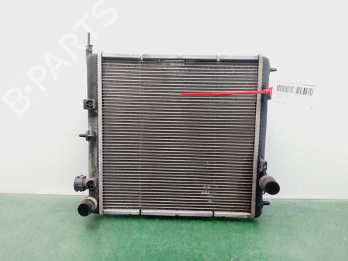 Used Water radiator CITROËN C3 II (SC_) [2009-2025]  30792279
