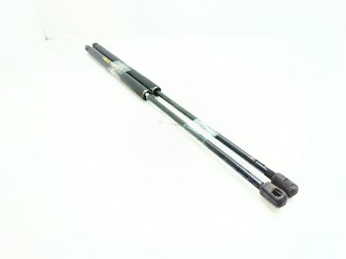 Tailgate lift support CITROËN C4 Picasso I MPV (UD_) 2.0 HDi 138 | BP29054795C138 