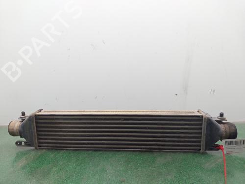 Used Intercooler FIAT BRAVO II (198_) [2006-2016]  29326351