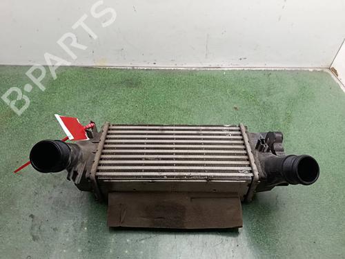 Used Intercooler Intercooler FORD FIESTA VII (HJ, HF) 1.0 EcoBoost (140 hp) 40254947 40254947