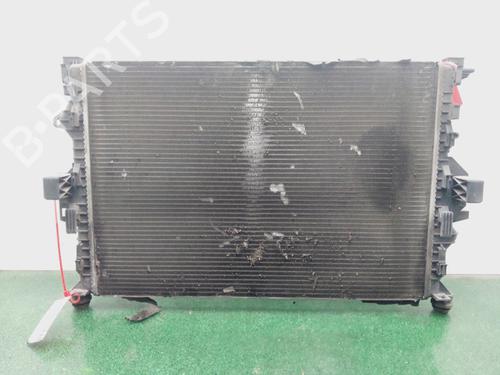 Water radiator FORD S-MAX (WA6)  | BP29903464M31 