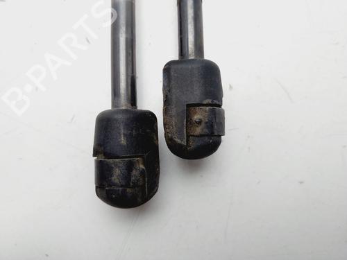 Tailgate lift support FORD FOCUS III  | BP29335134C138 