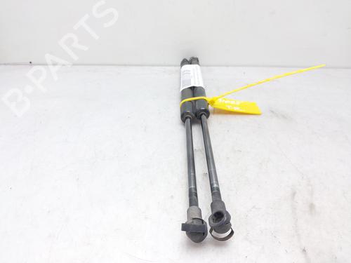 Tailgate lift support BMW 1 (E87) 118 d | BP14008416C138 