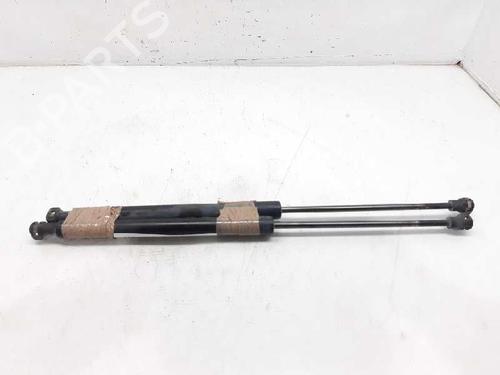 Tailgate lift support DACIA SANDERO II  | BP13994452C138 
