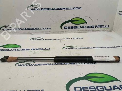 Used Tailgate lift support OPEL CORSA D (S07) 1.3 CDTI (L08, L68) (75 hp) 13990271