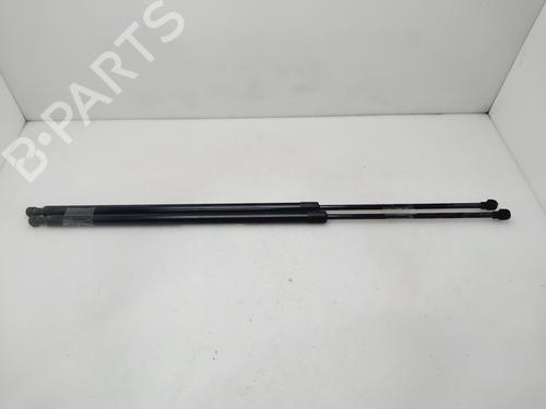 BP30680923C138 main image