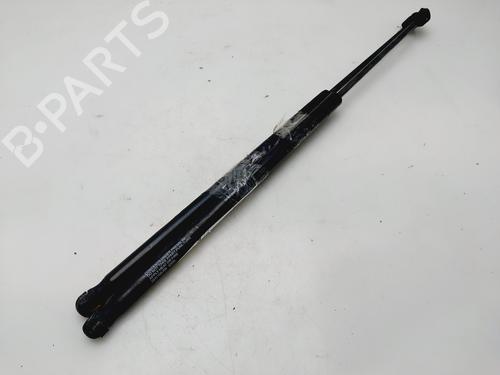 Tailgate lift support HYUNDAI MATRIX (FC)  | BP24496887C138 